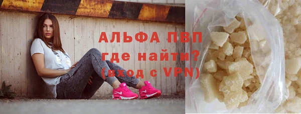 шишки Баксан
